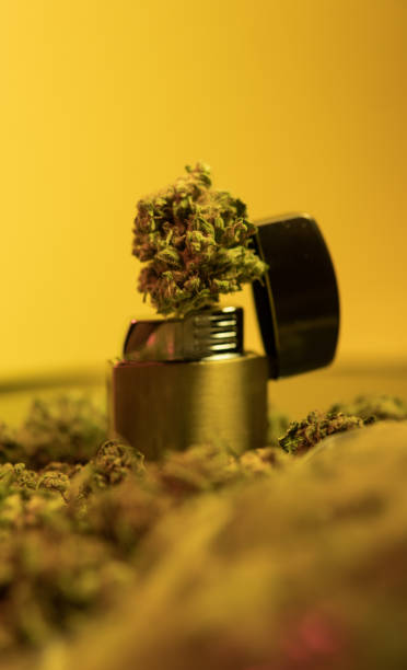 istock Medicinal Cannabis in shrink wrap package from dispensary 940914950