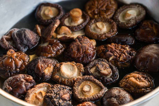 shiitake-pilze einweichen wasser in eine schüssel geben. - shiitake mushroom edible mushroom mushroom dry stock-fotos und bilder