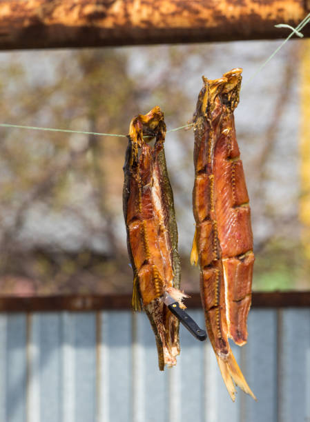 istock the fish is dried outdoors 940919028