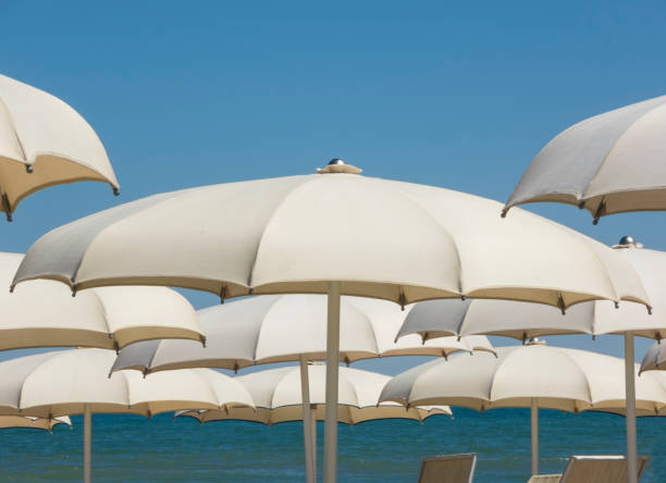 istock Beach umbrellas, gazebos and sun beds at Italian sandy beaches. Adriatic coast. Emilia Romagna region 940922636