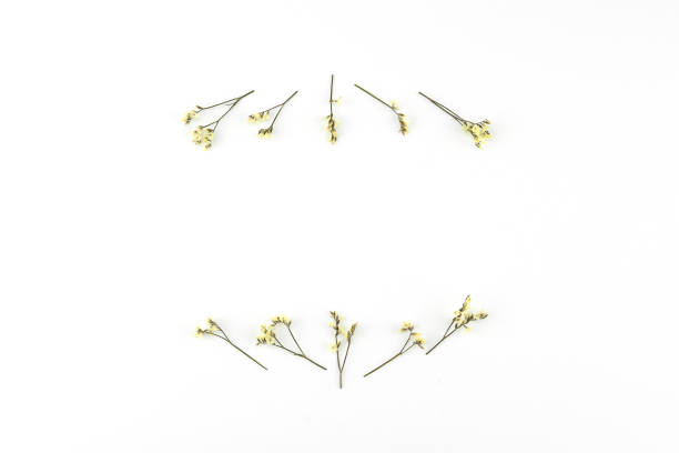 istock Yellow limonium caspia flowers wreath 940922814