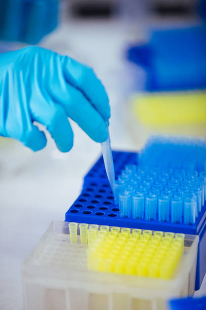 istock blue and yellow tip for scientific experiment in the boxes 940926134