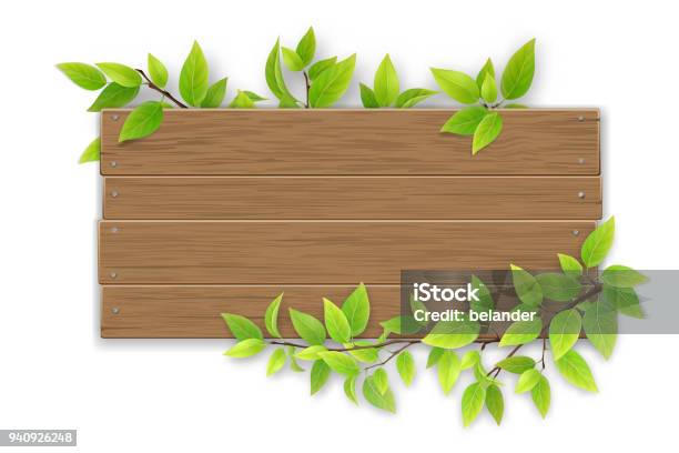 Empty Wooden Sign With Tree Branch Stock Illustration - Download Image Now - Wood - Material, Sign, Leaf