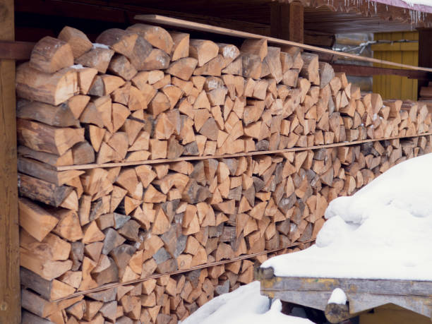 istock Pile of firewood fire, pile 940929362