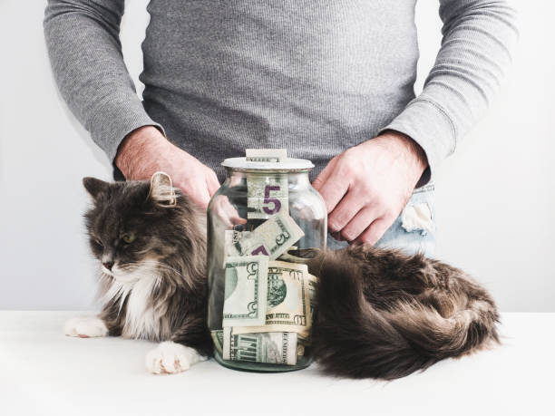 istock Man with a piggy bank and a cute cat 940929376