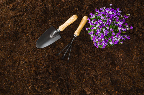 istock Gardening tools on garden soil texture background top view 940933528