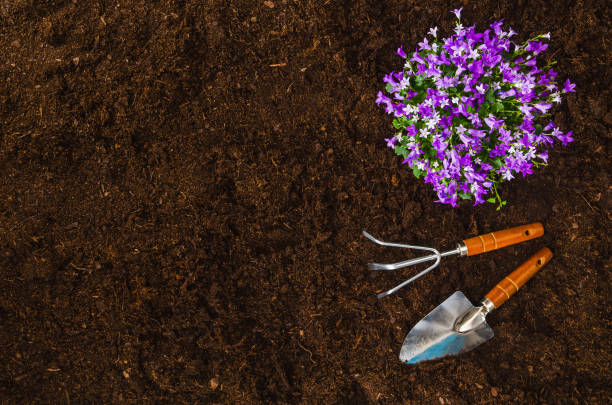 istock Gardening tools on garden soil texture background top view 940934548