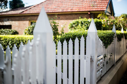 White picket fence with green hedge background.