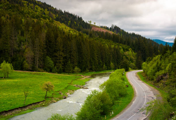 istock road along the river near the forest on hillside 940937512