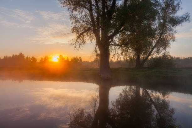 istock Beautiful foggy spring dawn on a river with trees 940940834