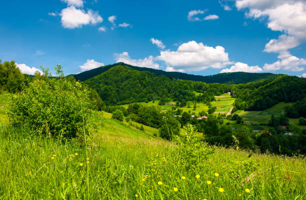 istock grassy hillside of mountainous countryside 940941272