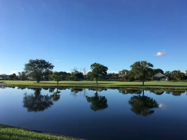 reflection of trees in the river on the golfcourse
