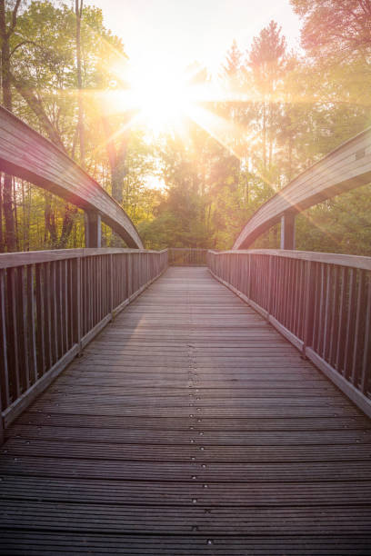istock Wooden bridge in sundown. 940941852