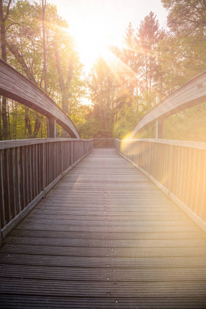 istock Wooden bridge in sundown. 940941944