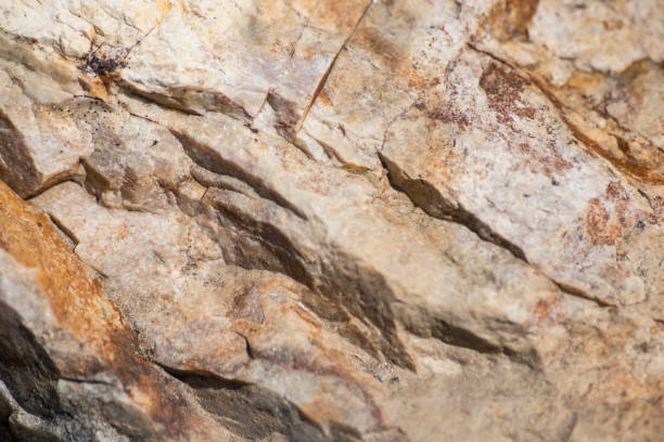 istock Geologic rock background composition full of veins composition 940945490