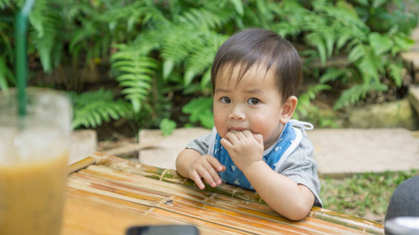 niño lindo asiático comiendo un bocadillo en un jardín. - eating child cracker asia fotografías e imágenes de stock
