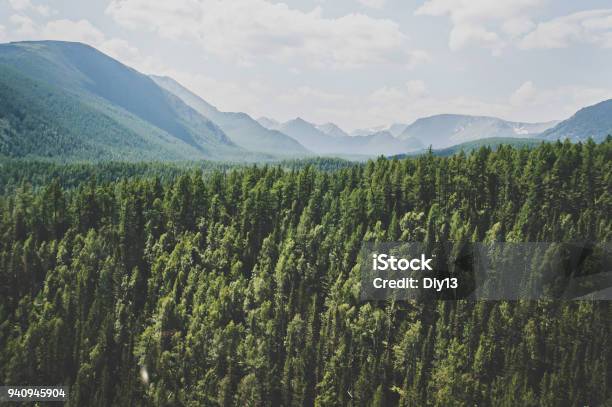 Landscape With Forest Mountains Stock Photo - Download Image Now - Forest, Mountain, Taiga