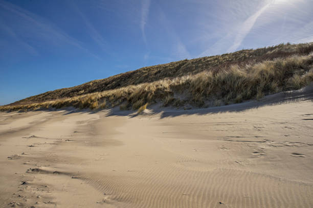 istock Pattern in the sand with View to grass dunes / Netherlands 940948408