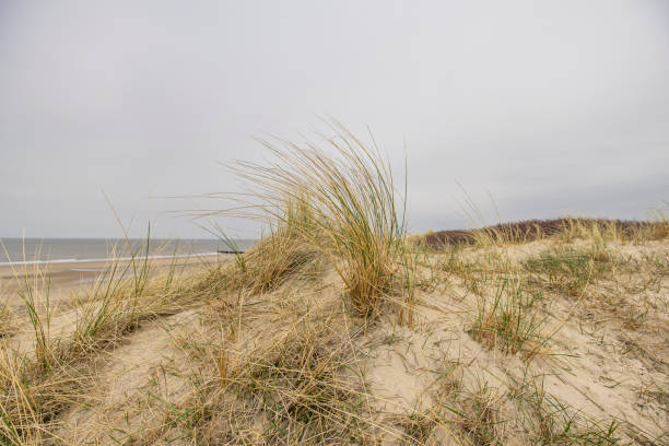istock Domburg beach and North Sea seen from Grass Dune / Netherlands 940948972