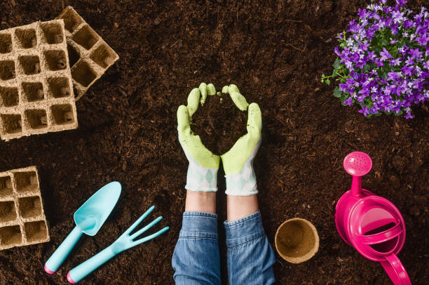 istock Planting a plant on garden soil texture background top view 940949100