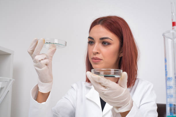 istock Young doctor petri dish 940949522