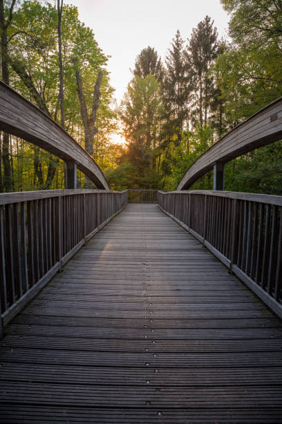 istock Wooden bridge in sundown. 940950200
