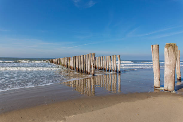 istock Awesome Water Reflections of Timber Piles at Domburg Baech / Netherlands 940950466