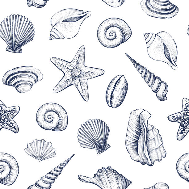 illustrations, cliparts, dessins animés et icônes de coquillages illustration vectorielle motif sans couture. - etching starfish engraving engraved image