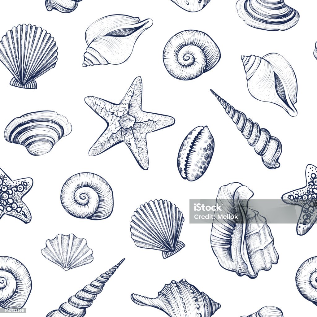Seashells vector seamless pattern. Seashells vector seamless pattern. Hand drawn marine illustrations of engraved line. Monochrome background. Animal Shell stock vector