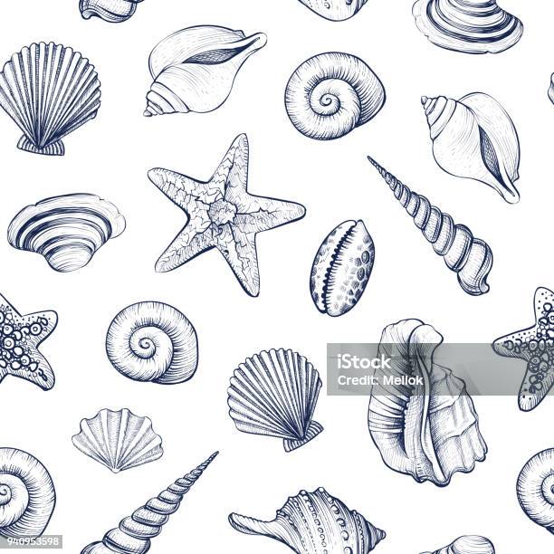 Seashells Vector Seamless Pattern Stock Illustration - Download Image Now - Animal Shell, Illustration, Seashell