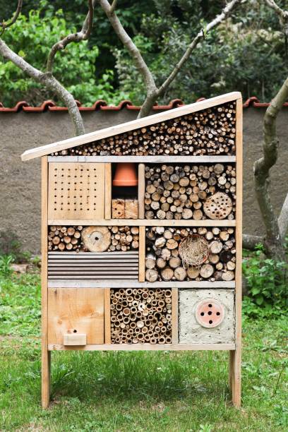 istock Insect hotel in a garden 940953710