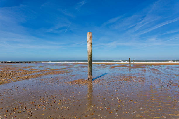 View to abandoned Domburg Beach at Fall of Tide / Netherlands