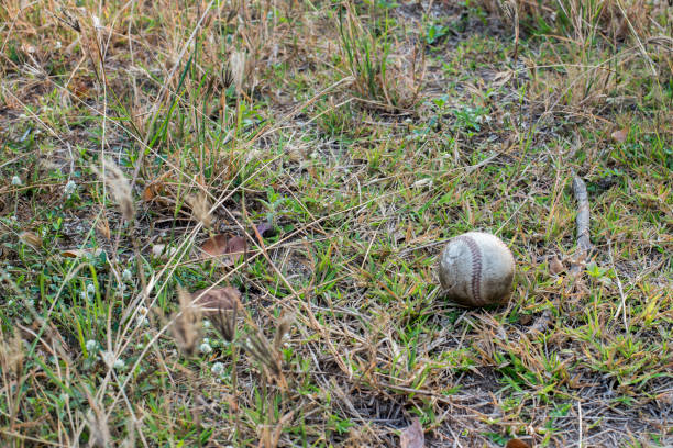 コピー スペースで新鮮な緑の草に野球を使用 - baseball baseball diamond grass baseballs ストックフォトと画像