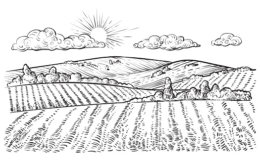 Rural landscape, vector vintage hand drawn illustration in engraving style. Peaceful farming scene with hills, meadows and pasturage.