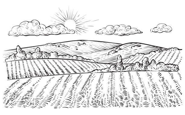 Rural landscape, vector vintage hand drawn illustration. Rural landscape, vector vintage hand drawn illustration in engraving style. Peaceful farming scene with hills, meadows and pasturage. agricultural fields stock illustrations