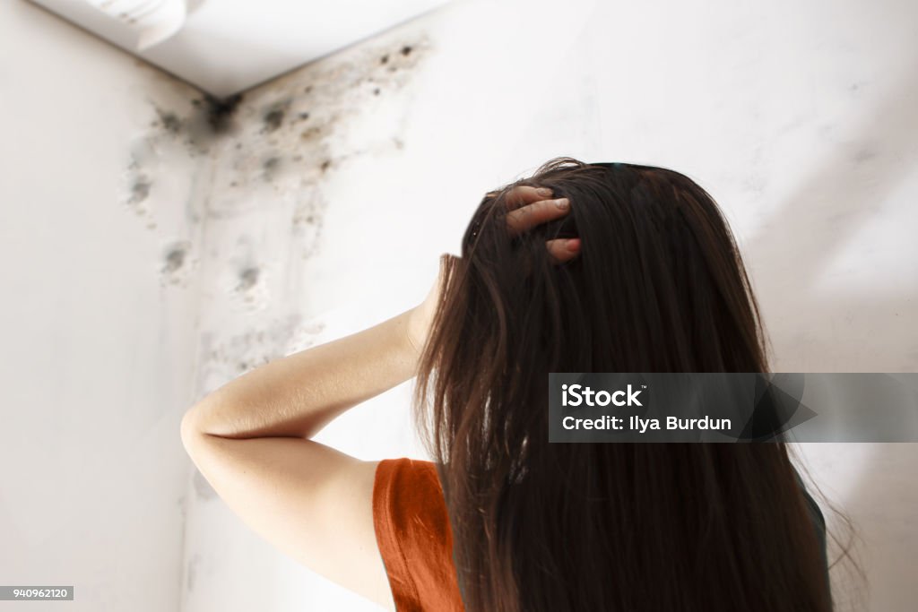 Close-up Of A Shocked Woman Looking At Mold Close-up Of A Shocked Woman Looking at moldy room Fungal Mold Stock Photo