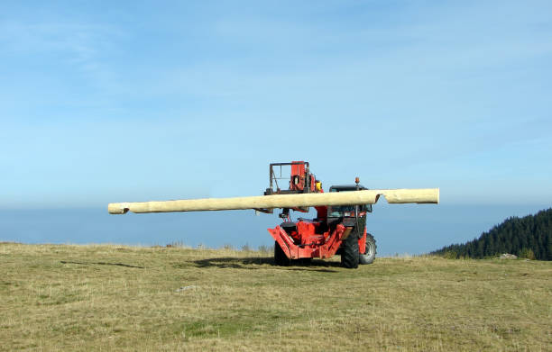 gabelstapler-transportprotokolle - lumber industry timber truck forklift stock-fotos und bilder