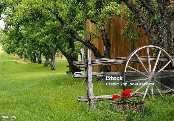 Foto de Orchard Com Roda De Carroça e mais fotos de stock de Macieira - Macieira, Pomar de Macieiras, Agricultura