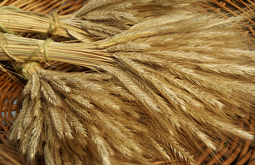 Wheat Sheaves in Basket