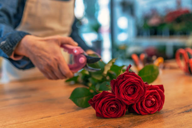 Female hands making flower bouquet