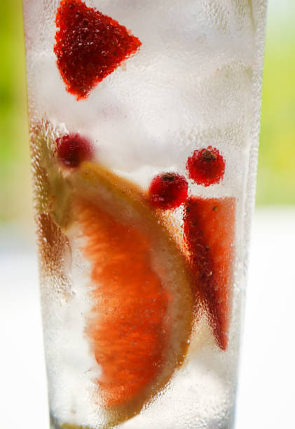 Fruity Frozen Gin Tonic with Ice Cubes