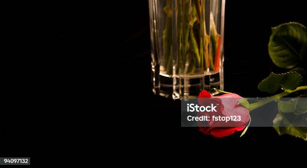 Único Rojo Rosa En Un Florero Delantera De Cristal Foto de stock y más banco de imágenes de Amor - Sentimiento - Amor - Sentimiento, Arreglo, Belleza de la naturaleza