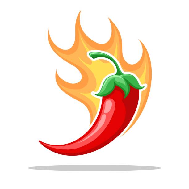 feuer-peperoni - spice symbol green chili pepper stock-grafiken, -clipart, -cartoons und -symbole
