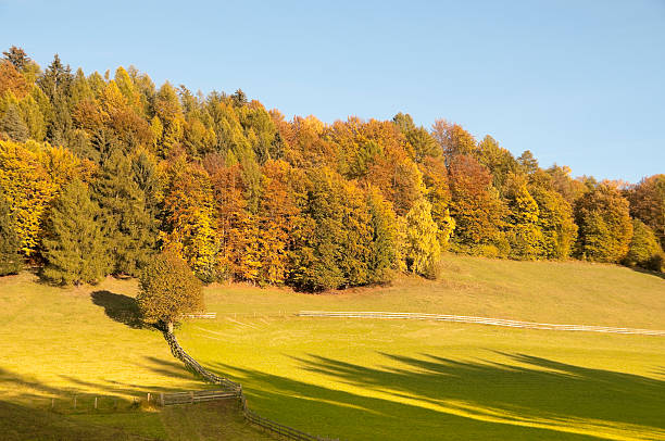 Autumn colors at sunset