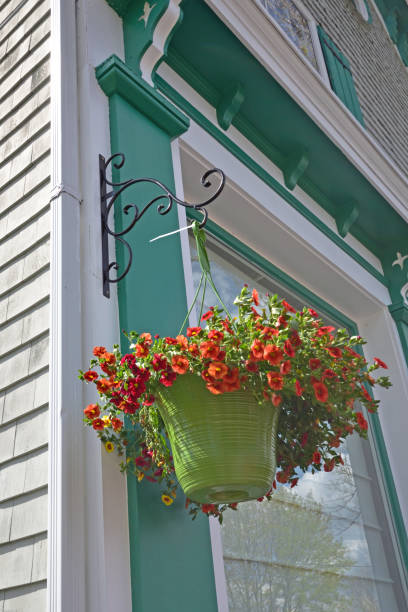 istock Hanging Flower Basket on House 940985626