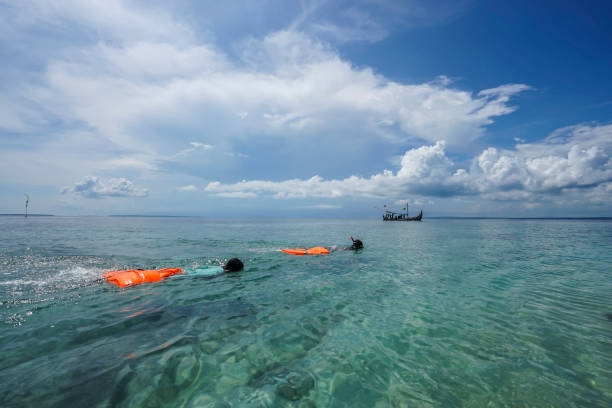 istock Swimming on the blue ocean 940989902