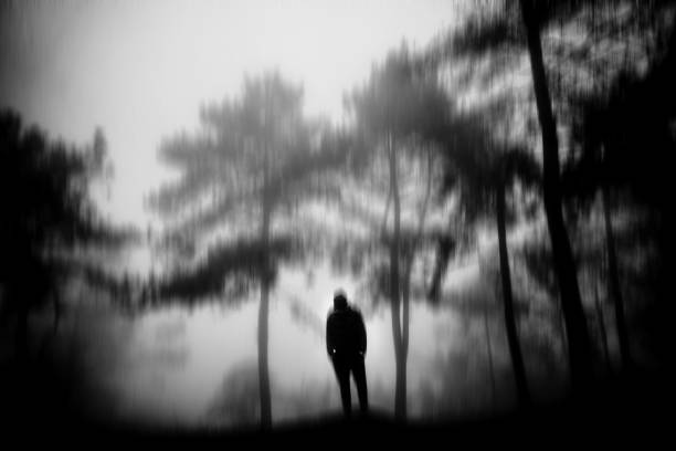 The man in the forest with thick fog. Drawing by digital technique