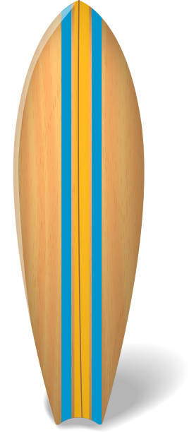 Vector wood surf board Summer Surfing Isolated realistic surfboard. vector art illustration