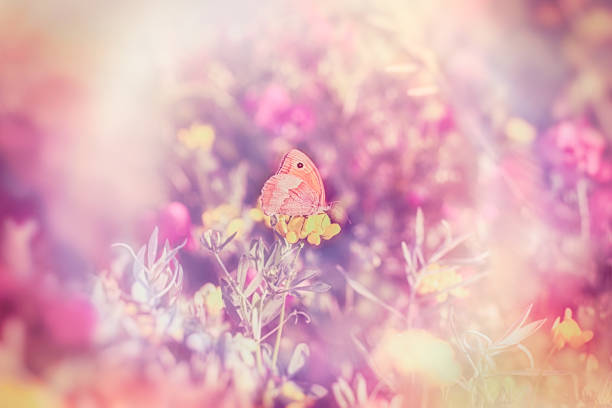 istock Soft focus on little butterfly - beautiful meadow in spring (beautiful landscape) 941000950