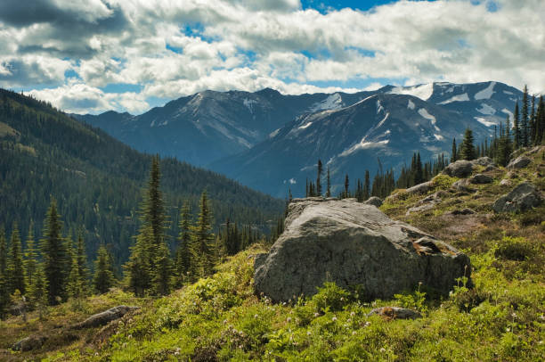 istock Helihiking in British Columbia 941008268